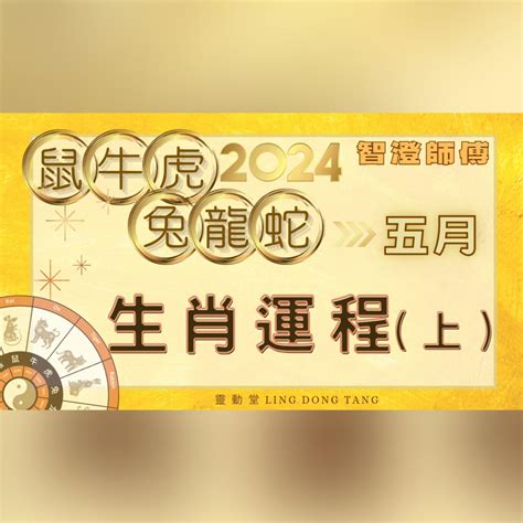 2024年兔運程|生肖兔: 性格，愛情，2024運勢，生肖1987，1999，2011